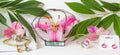 Lilia's Eye Candy, LLC Gift Card